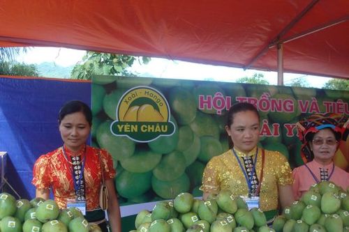 Sơn La phát huy thế mạnh địa phương