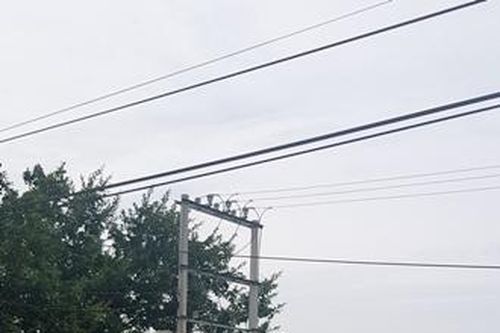 Ngành Điện lực trong tháng tri ân khách hàng