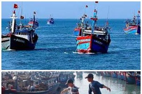 Hoàn thiện dự thảo Chiến lược phát triển kinh tế nuôi trồng thủy sản, kinh tế biển