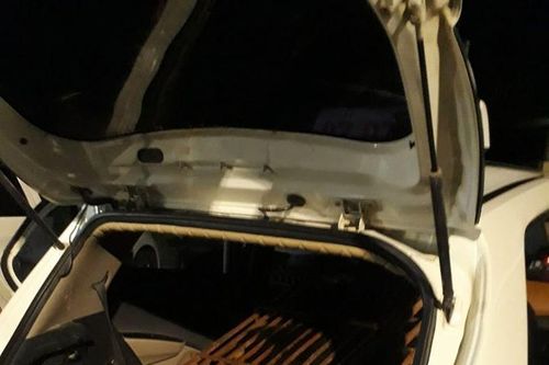 Bắt giữ xe taxi chở gấu ngựa nặng hơn 1 tạ đi tiêu thụ