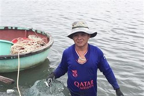 Nuôi ốc hương, hướng làm ăn mới của người dân ven biển