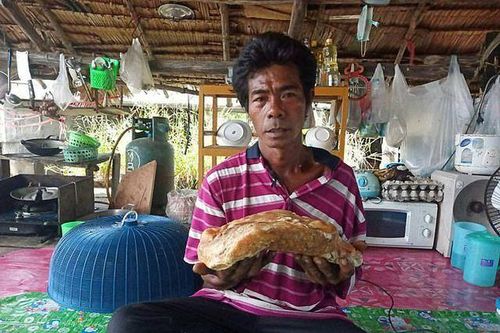 Lại nhặt được cục đá có thể là cục nôn cá voi trị giá hơn 2,4 tỷ