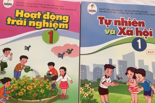 'Toán tiểu học khó đến mức giáo sư mới hiểu hết'