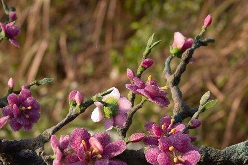 Chiêm ngưỡng cây đào làm bằng đá quý trị giá 600 triệu đồng