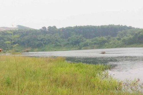 Bi hài chuyện doanh nghiệp khai thác cát 'chia tay đòi quà' địa phương