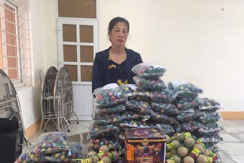 Bắt 2 đối tượng tàng trữ pháo, tìm ra 'bà trùm' giấu pháo trong tủ quần áo, giường ngủ