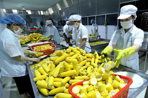 Nâng cao giá trị nông sản Việt: Cần một chiến lược toàn diện