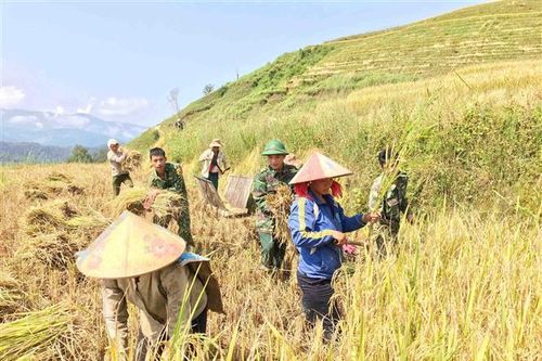 Vai trò của bộ đội biên phòng trong củng cố chính trị cơ sở, phát triển dân tộc La Hủ