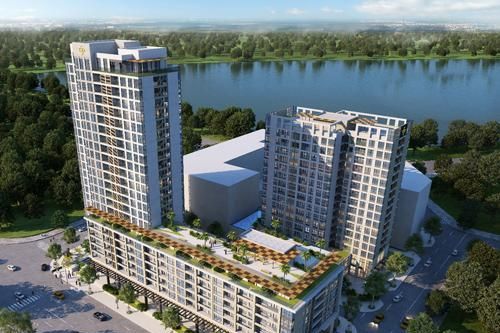 Coteccons đồng hành cùng chương trình Đi bộ từ thiện Lawrence S.Ting lần thứ 15 - 2020