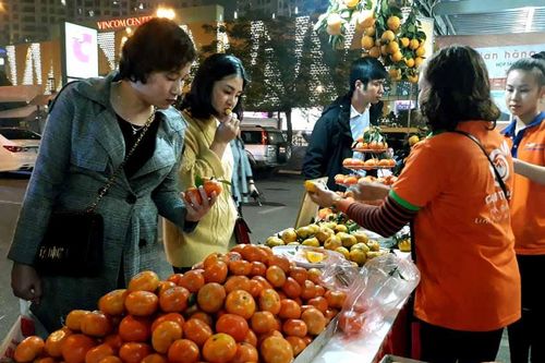 Cam sành và sản phẩm OCOP Hà Giang 'đổ bộ' thị trường Hà Nội