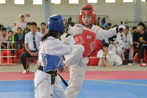 Taekwondo gặt hái nhiều thành công