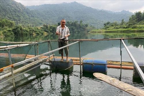 Gỡ khó cho kinh tế trang trại