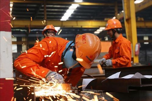 Nâng cao chất lượng nguồn nhân lực - Bài cuối: Để có nhân lực trình độ cao