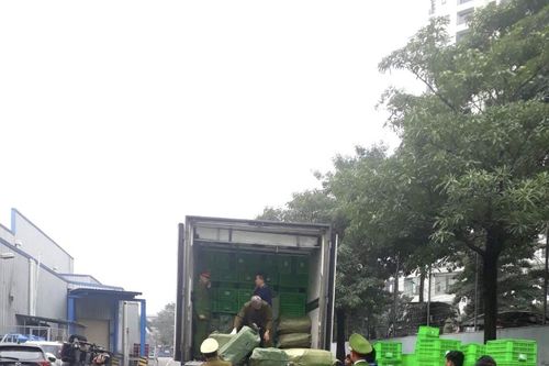 2 xe container hàng thực phẩm đông lạnh bị bắt tại bãi đỗ xe siêu thị, MM Mega Market lên tiếng