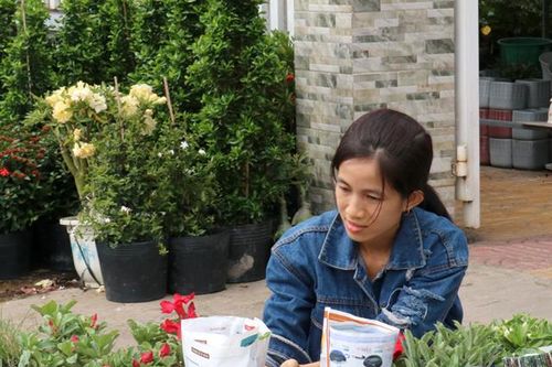 Nhộn nhịp nhu cầu cần lao động cận Tết