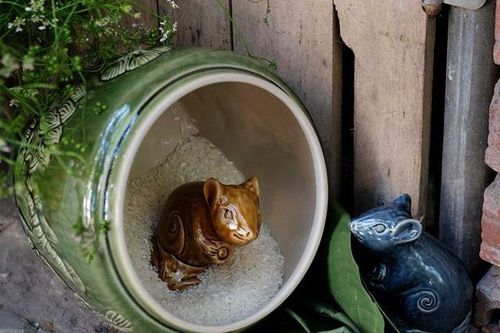 Đón Tết Canh Tý, háo hức sắm... chuột