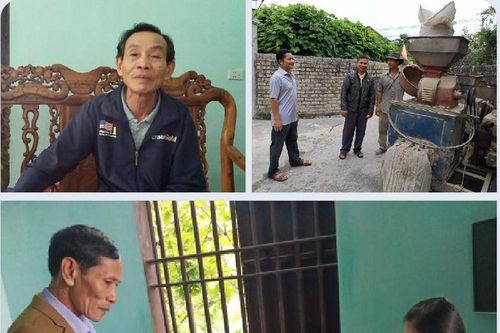 Thắng kiện nhờ tình mẫu tử của… bò