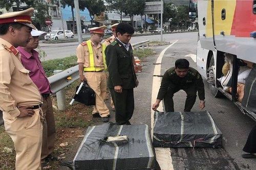 Phát hiện 70 cá thể dúi trên xe khách
