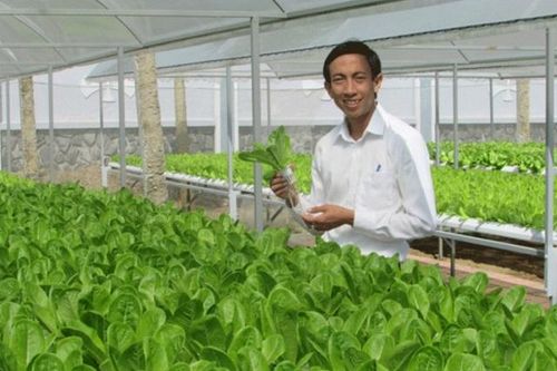 Toàn thành phố đã hình thành 35 chuỗi rau an toàn