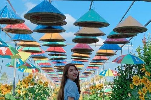 4 làng hoa nổi tiếng ở miền Tây mùa giáp Tết