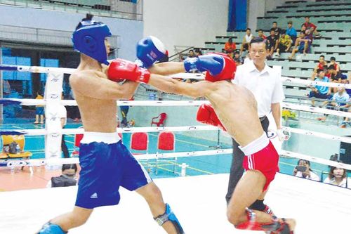Thể thao thành tích cao Gia Lai: 'Bức tranh' rực rỡ