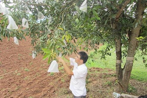 Nhà khoa học của nông dân