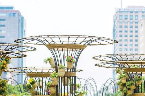 Phố chậm rãi niềm riêng tết