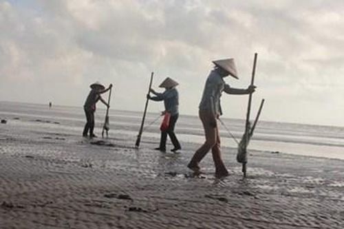 Xuân về nơi địa đầu Tổ quốc