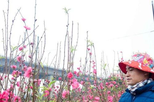 Chất lượng không khí ngày 27 Tết: Không khí Hà Nội ở mức nguy hại