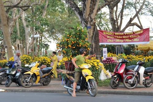 Chợ hoa ở Cố đô Huế nhộn nhịp ngày giáp Tết Canh Tý