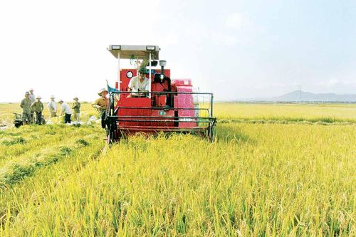 Phú Thiện: Đẩy mạnh phát triển nông nghiệp, xây dựng nông thôn mới