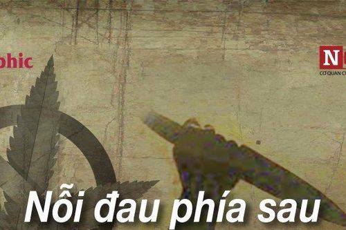 Nỗi đau phía sau những thảm án bắt nguồn từ ma túy đá