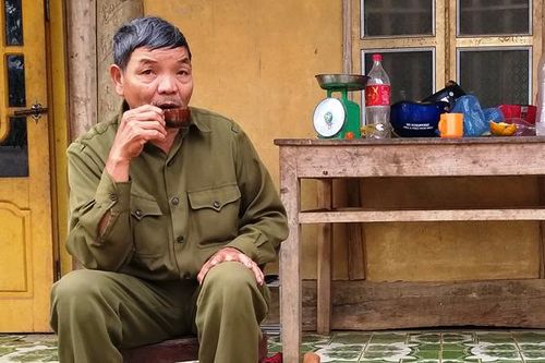 Ngày Tết bên ấm trà Shan Tuyết