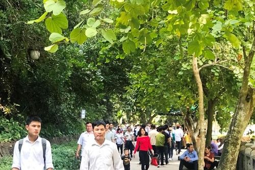Nhiều lựa chọn cho du khách du lịch hành hương, trẩy hội đầu Xuân