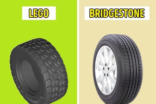 15 sự thật 'điên rồ' trên thế giới ít ai tưởng tượng nổi (P2)