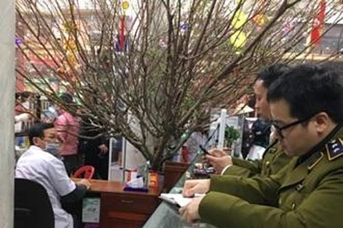 Xử phạt 3 cơ sở kinh doanh dược phẩm bán khẩu trang cao hơn giá niêm yết