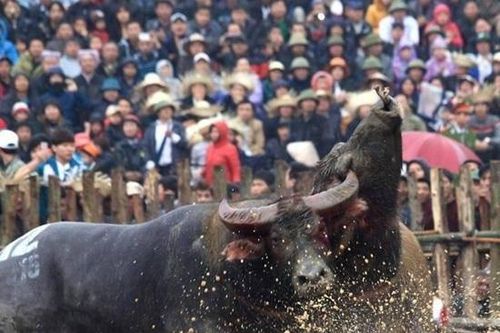 Bộ trưởng Bộ VHTTDL: Dừng tất cả các lễ hội, kể cả lễ hội đã khai mạc tại các tỉnh đã công bố dịch