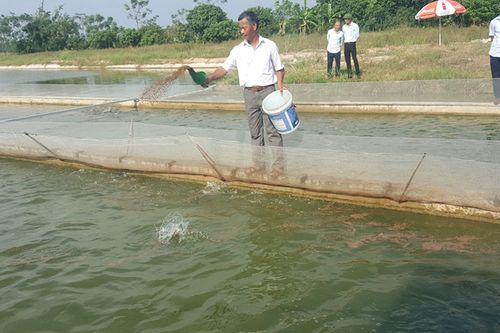 Thực hiện 13 dự án xây dựng hạ tầng vùng nuôi trồng thủy sản