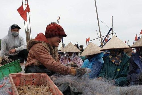 Ngư dân Nam Định liên tục trúng lớn sau những chuyến ra khơi đầu năm
