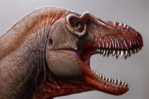 Phát hiện 'anh em' của khủng long bạo chúa T. rex