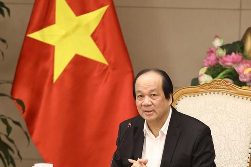 Tại sao khi nâng mức phạt nồng độ cồn, tỷ lệ đổi giấy phép lái xe tăng cao?