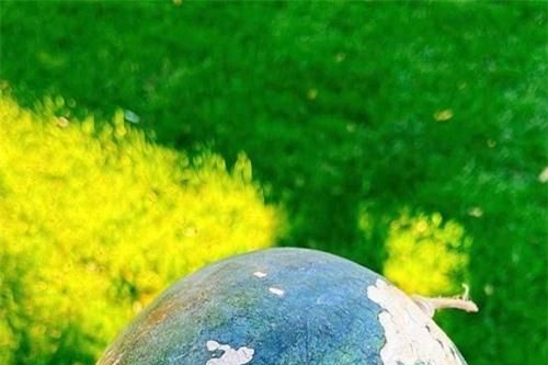 Đảm như Phạm Hương vừa chăm con khéo lại 'mát tay' trồng được một vườn cây trái trĩu quả ở Mỹ
