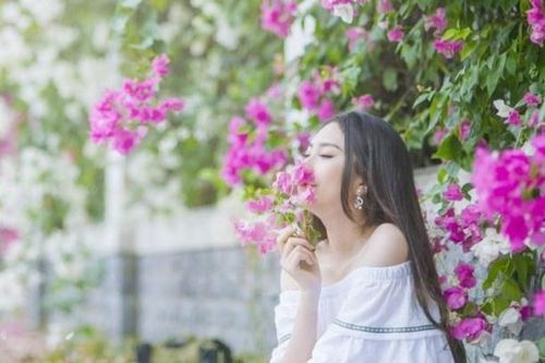 Kèn hồng và những mùa hoa rực rỡ ở TP.HCM