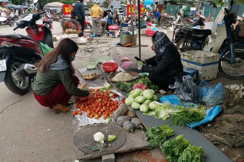 Giá rau xanh tăng bất thường