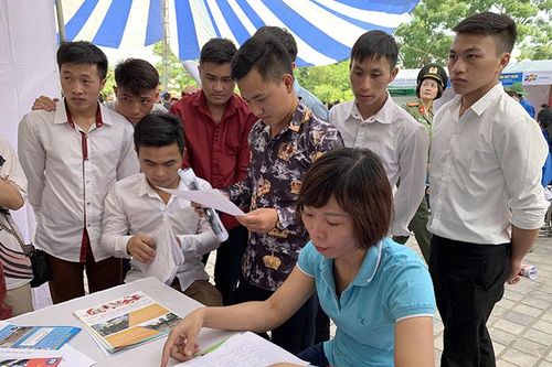 Giải quyết việc làm cho người lao động
