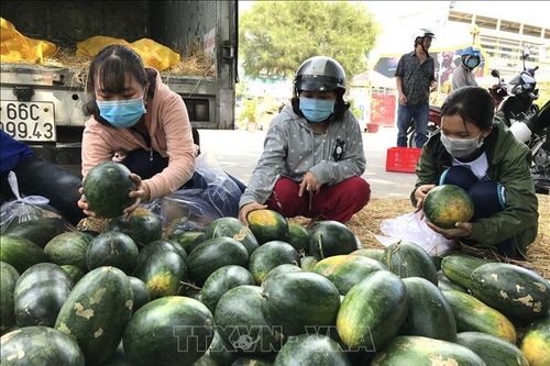 Công đoàn hỗ trợ tiêu thụ nông sản mùa dịch COVID-19
