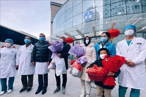 WHO trấn an dư luận về dịch COVID-19