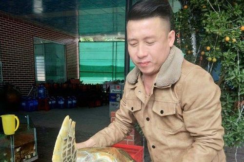 Cận cảnh rùa biển quý hiếm nặng 30kg mắc vào lưới ngư dân