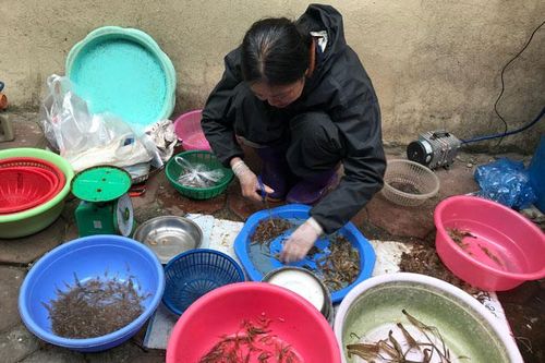 Giá thịt lợn giảm, rau xanh giữ mức cao