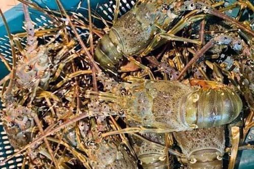 Bản danh sách buồn, rơi nước mắt dịp đầu năm